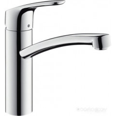 Смеситель Hansgrohe Focus 31806800