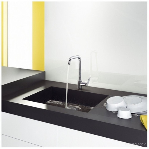 Смеситель Hansgrohe Focus E 2 31820000