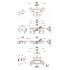 Душевой уголок Ambassador Set 12011112R-ST10