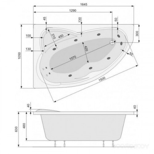 Ванна PoolSpa Europa 165x105 L