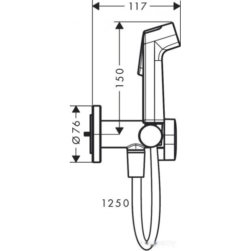 Гигиенический душ Hansgrohe Bidette 1jet S 29232670