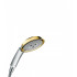 Душевой гарнитур Hansgrohe Raindance Classic 27843090