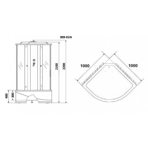 Душевая кабина Niagara NG-309-01N 100x100 стекло прозрачное Мозаика