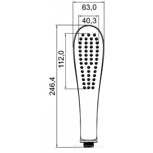 Душевая лейка IDDIS 0211F00I18