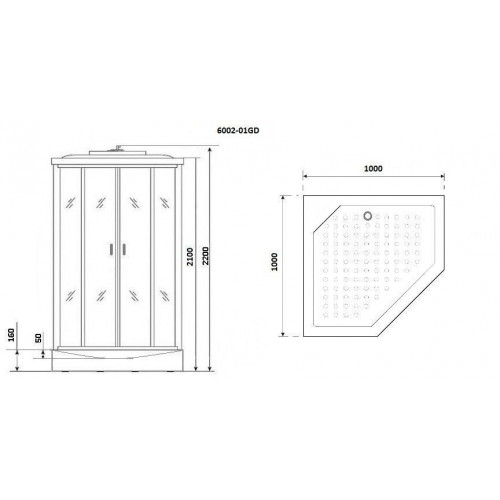 Душевая кабина Niagara Premium NG-6002-01GD 100x100