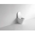 Унитаз CeramaLux NS3178