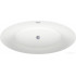 Ванна Wellsee Cerulean 174x80 231001001 (отдельностоящая ванна белый глянец, экран, ножки, сифон-автомат хром)