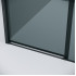 Душевая дверь Grossman Style 110x195 100.K33.05.110.21.10 (черный матовый/стекло тонированное)