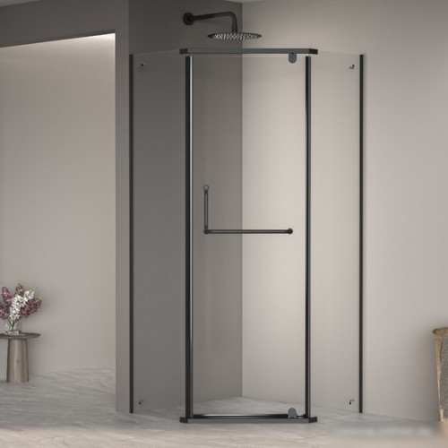 Душевой уголок RGW PA-081B 35088100-14 100x100 (черный/прозрачное стекло)