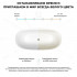 Ванна Wellsee Pro Line 170x80 28750102R (отдельностоящая ванна белый глянец, экран, ножки, сифон-автомат глянцевый белый)