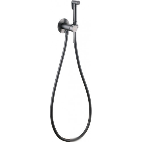 Гигиенический душ Abber Wasser Kreis AF8125NG (никель)