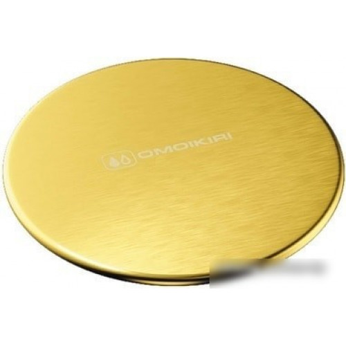Накладка сливного гарнитура Omoikiri DEC LG 4957090