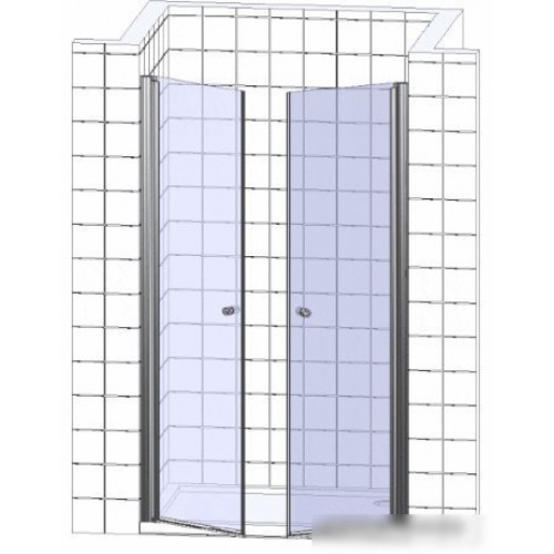 Душевая дверь WeltWasser WW600 600K2-120