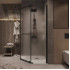 Душевой уголок Grossman Pragma 90x90x195 302.K33.03.9090.21.02 (черный матовый/шиншилла стекло)