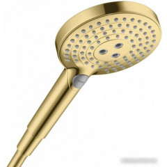 Душевая лейка Hansgrohe Raindance Select S 120 26530990