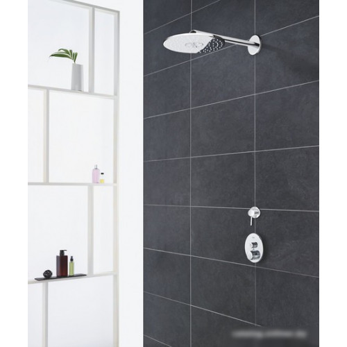 Душевая лейка Grohe Euphoria 260 26457000