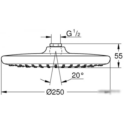 Верхний душ Grohe Tempesta 250 26666000