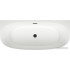 Ванна Wellsee Belle Spa 2.0 170x75 235804003 (пристенная ванна белый глянец, экран, каркас, сифон-автомат матовый черный)