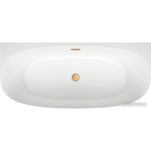 Ванна Wellsee Belle Spa 2.0 170x75 235804004 (пристенная ванна белый глянец, экран, каркас, сифон-автомат золото)