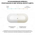Ванна Wellsee Shell 180x80 28170404R (отдельностоящая ванна белый глянец, экран, ножки, сифон-автомат золото)