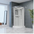Душевая кабина RGW AN-208 381320800-12 100x100 (хром-матовый/прозрачное стекло)