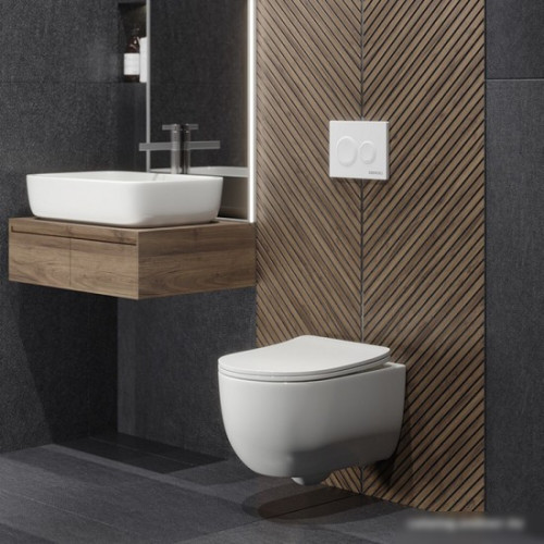 Унитаз подвесной Berges Wasserhaus Ventas Rimless 082135