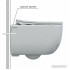 Унитаз подвесной Berges Wasserhaus Ventas Rimless 082135