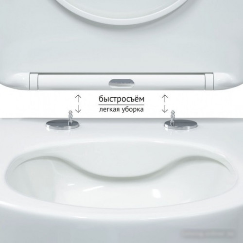 Унитаз подвесной Berges Wasserhaus Ventas Rimless 082135