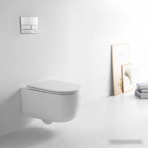 Унитаз Berges Wasserhaus Tornas Rimless 082137