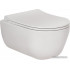 Унитаз Berges Wasserhaus Ego Rimless + Toma Slim SO + Novum525 + F3 047253