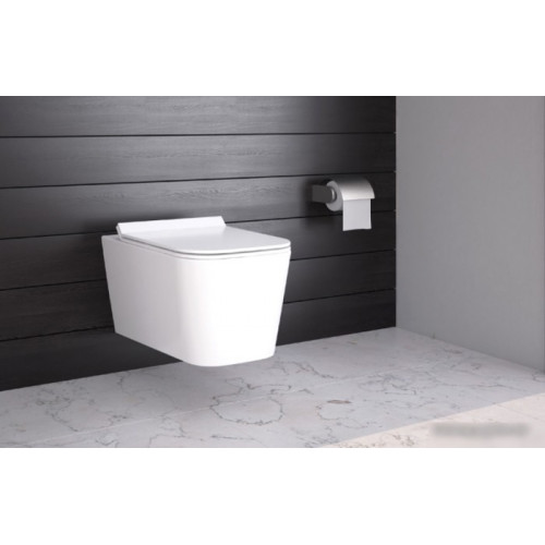 Унитаз Berges Wasserhaus Floe Rimless + Floe Slim SO + Novum525 + F5 Soft Touch 043230