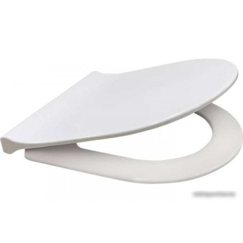Унитаз Berges Wasserhaus Ego Rimless 043250 (с сиденьем)
