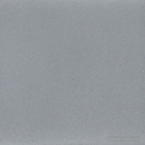 Кухонная мойка Wisent 600-29W (с сифоном GER013)