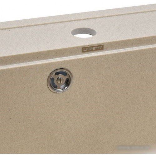 Кухонная мойка Wisent 600-30W (с сифоном GER013)