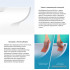 Унитаз подвесной Wellsee Graceful Pro RimFree 182601001 (чаша, пневмокрышка, глянцевый белый)