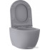 Унитаз подвесной Wellsee Chalice Perfection RimFree 182610001 (чаша, пневмокрышка, матовый серый)