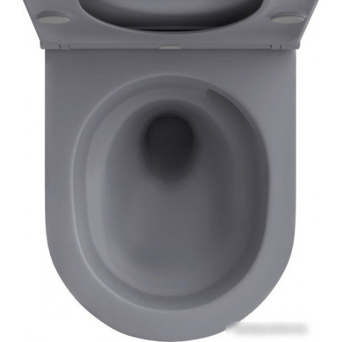 Унитаз подвесной Wellsee Chalice Perfection RimFree 182610001 (чаша, пневмокрышка, матовый серый)